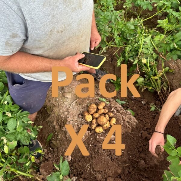 Pack X 4 Disponibilité du Ca, K, Mg, Na, P + Oligos